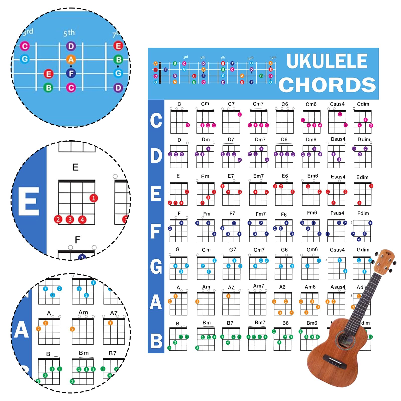 Musiin Ukulele Chord Fingering Chart Ukulele Chords Poster for Beginners and Musicians Ukulele Accessories for Beginners - Image 2