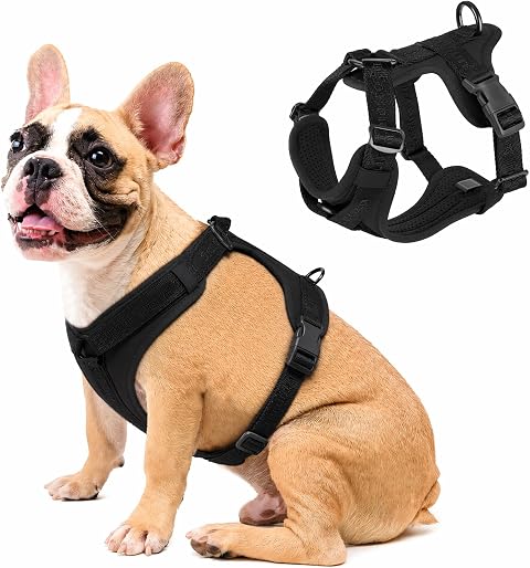 Hundegeschirr Anti Zug, Atmungsaktives Brustgeschirr Hund, Verstellbare Hundegeschirre, Sicherheitsgeschirr Hund für Kleine und Mittelgroße Hunde (Schwarz, S)