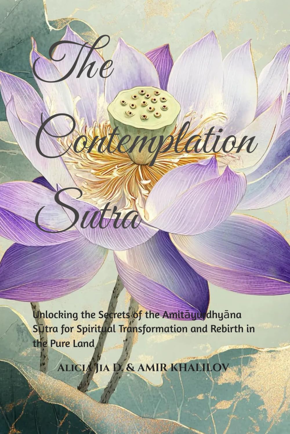 The Contemplation Sutra: A Deep Study of Pure Land Visualization and Practice: Unlocking the Secrets of the Amitāyurdhyāna Sūtra for Spiritual ... Land (Buddhist & Taoist Texts Translations)