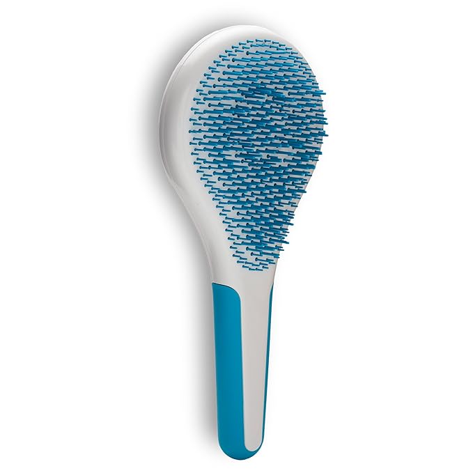 Michel Mercier Spa Brush Detangling Hair Brush for Wet or Dry Hair, Shower
