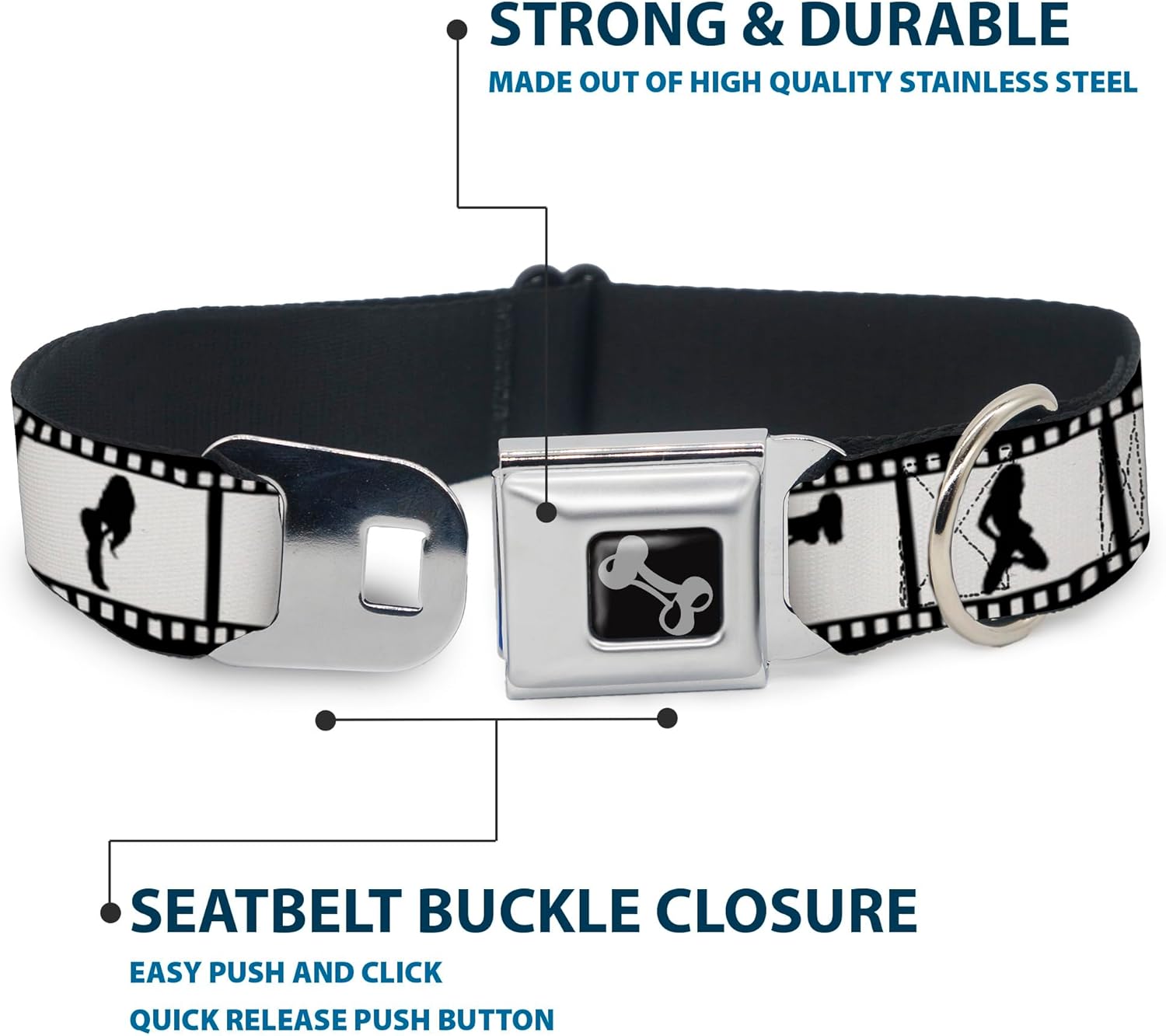 Dog Collar Seatbelt Buckle Girls Posing Film Strip White Black 16 to 23 Inches 1.5 Inch Wide