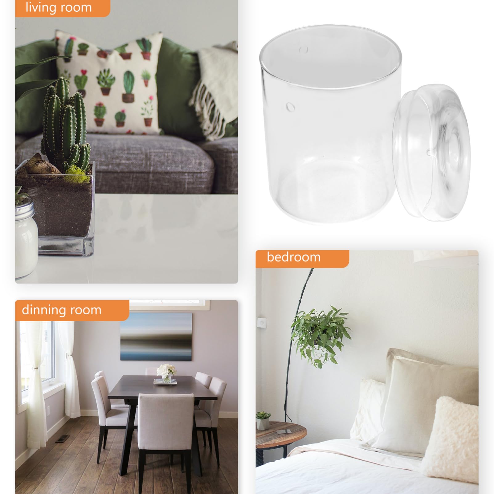 Happyyami Terrario in Vetro per Muschio e Piante, Vaso Micro-paesaggio Trasparente, Decorazione da Tavolo per Casa e Ufficio, Multiuso