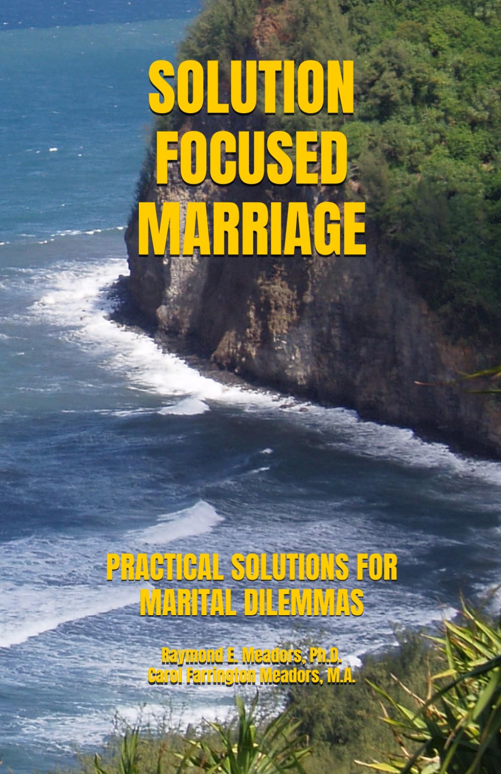 SOLUTION FOCUSED MARRIAGE: PRACTICAL SOLUTIONS FOR MARITAL DILEMMAS (LIFE FOCUS RELATIONSHIP SERIES)