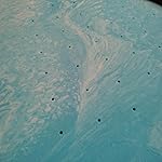 Review Image by anna anna