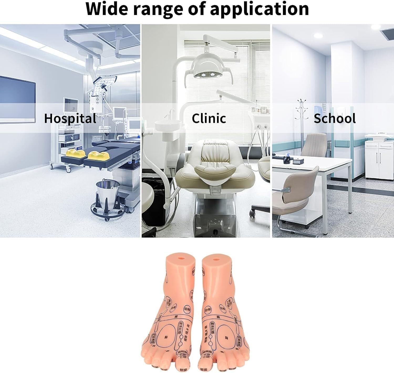 Human Foot Reflexology acupoint Massage Model, 25 CM Foot Acupuncture Modal, Auxiliary Laboratory School Supplies