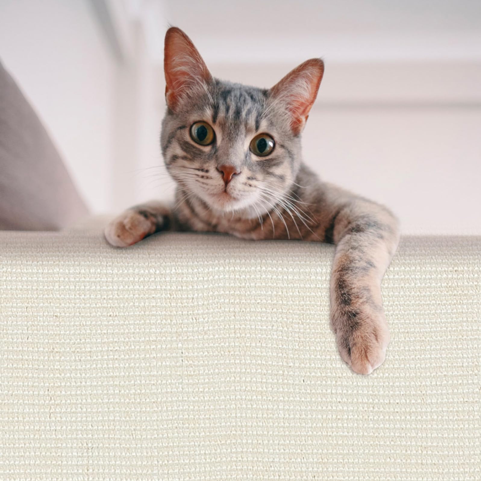Protector para Sofá contra Arañazos de Gato Funda de Sisal Resistente y Diseño Divertido para Uso en Casa o Tienda