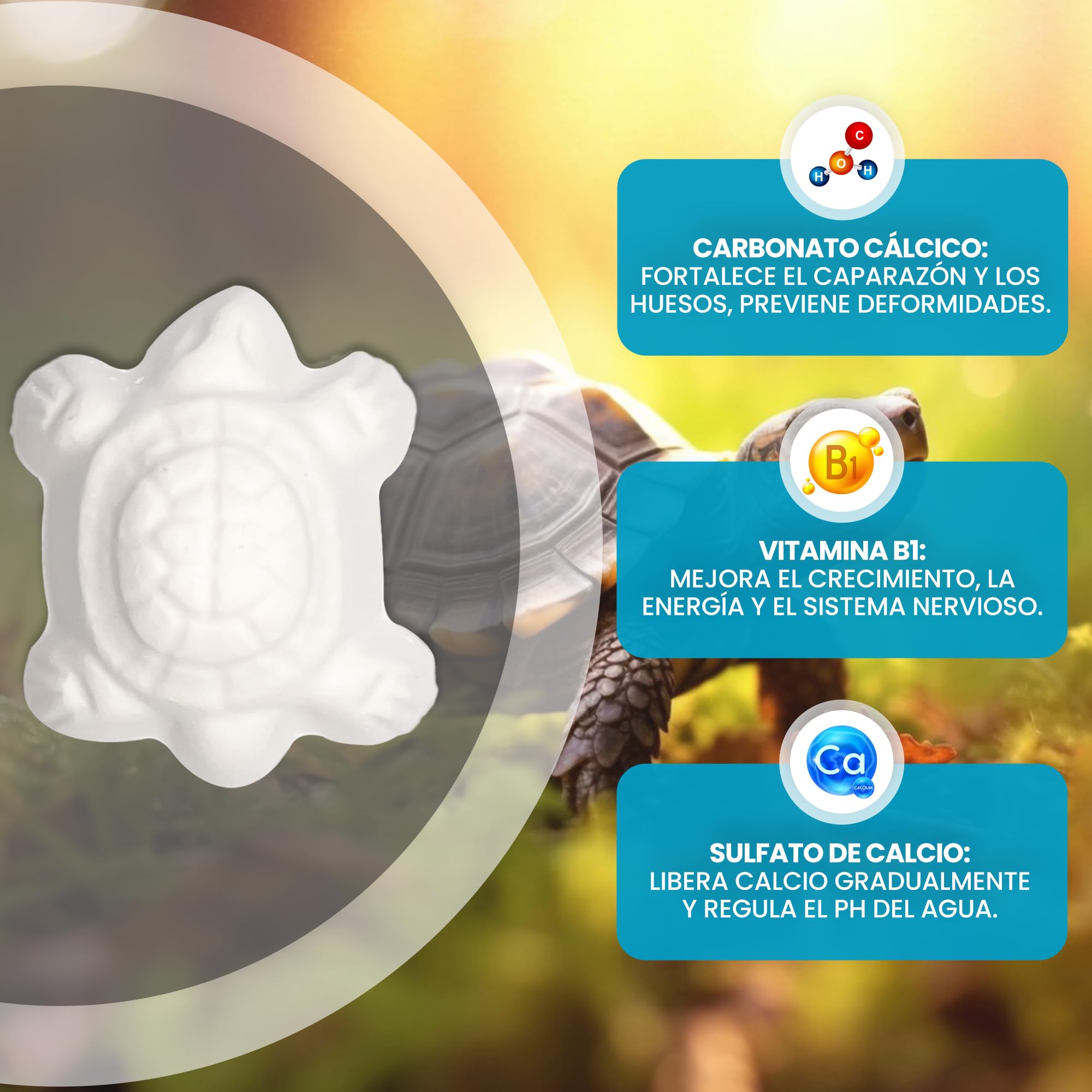 AreaAnimal - Calcio Tortugas de Agua, 10pcs Calcio para Tortugas de Agua con Liberación Lenta, Piedra Tortuga Que Fortalece el Caparazón y Mejora el Sistema Nervioso — view 2