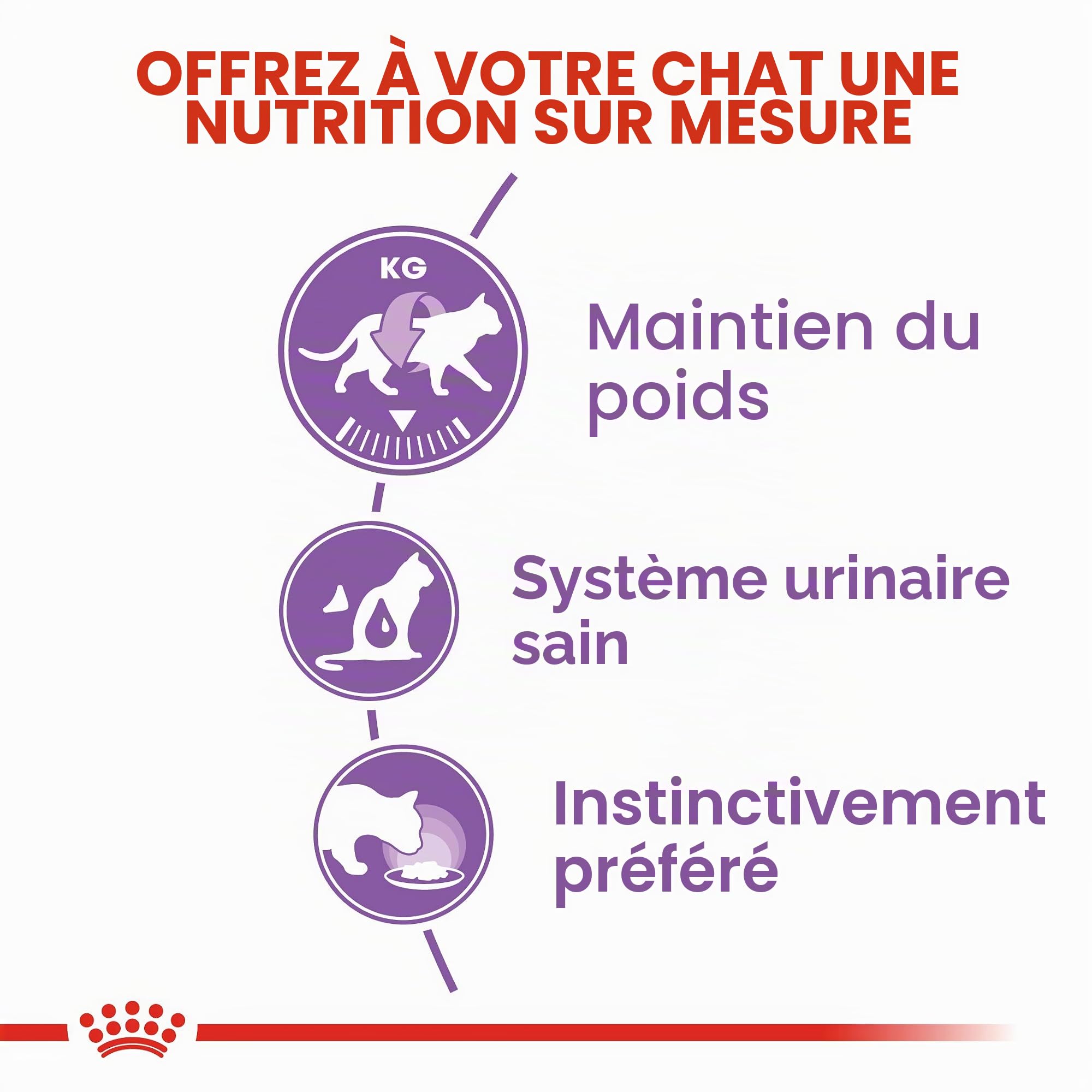 Royal Canin Stérilisé en Sauce | Pack Double | 2 x 12 x 85 g | Aliment Complet pour Chats Adultes | Spécialement pour Les Chats castrés à partir de 12 Mois | Morceaux en Sauce