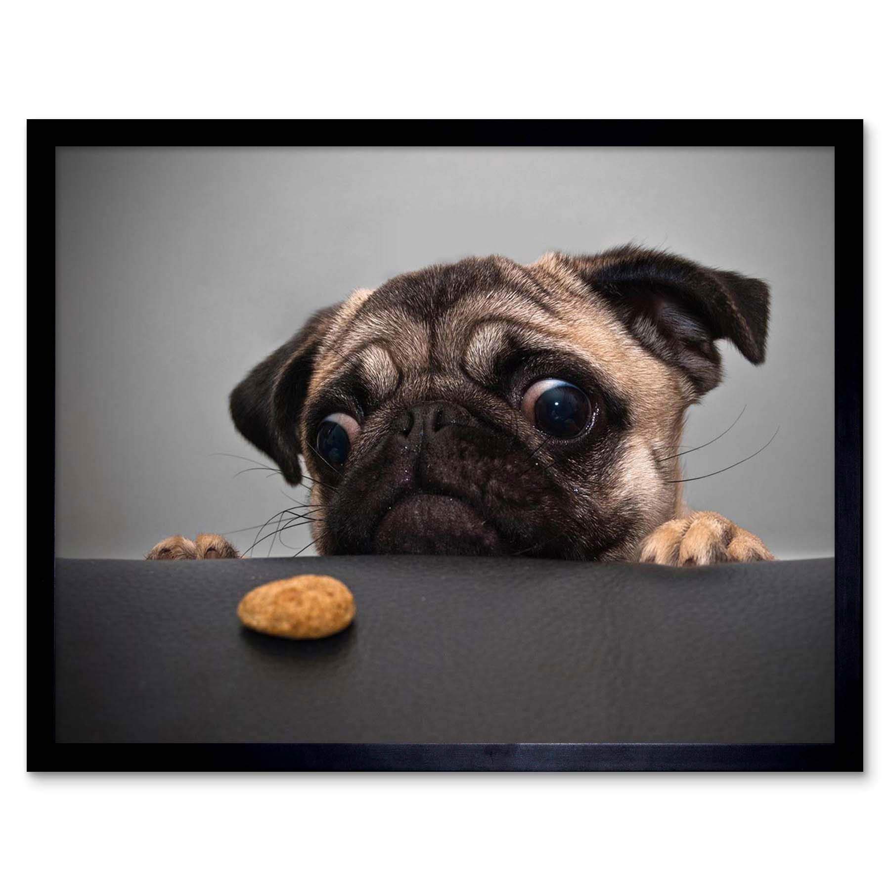 Wee Blue Coo Framed Black Animal Photography Portrait Pug Dog Treat Food Eyes Cute Art Print Framed Poster Wall Decor 12X16 Inch