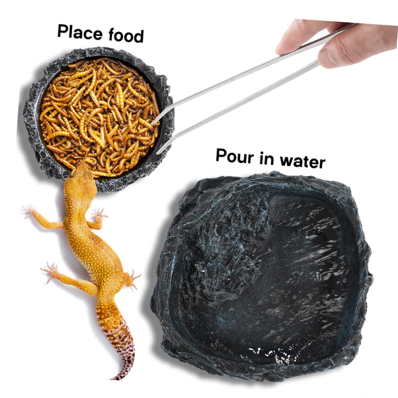 Gatuida Ciotola per Cibo Rettili, Resina e Acciaio Inossidabile | Integrata e Spaziosa, Include Pinzette per Alimentazione, Adatta a Rettili e Paguri, Facile da Pulire