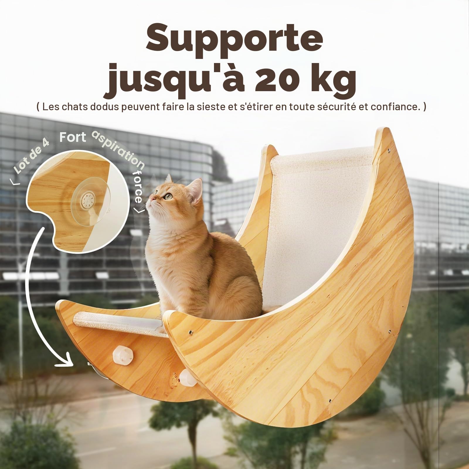 Perchoir de fenêtre en bois pour chat, grand lit de fenêtre pour chat avec 4 ventouses améliorées, hamac de fenêtre en bois massif avec design en forme de lune, siège de fenêtre pour