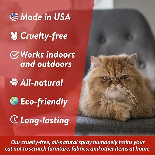 Miniatura 2 de Bodhi Dog Spray disuasorio para gatos para uso en interiores y exteriores  Spray de entrenamiento seguro para gatos con aceites esenciales