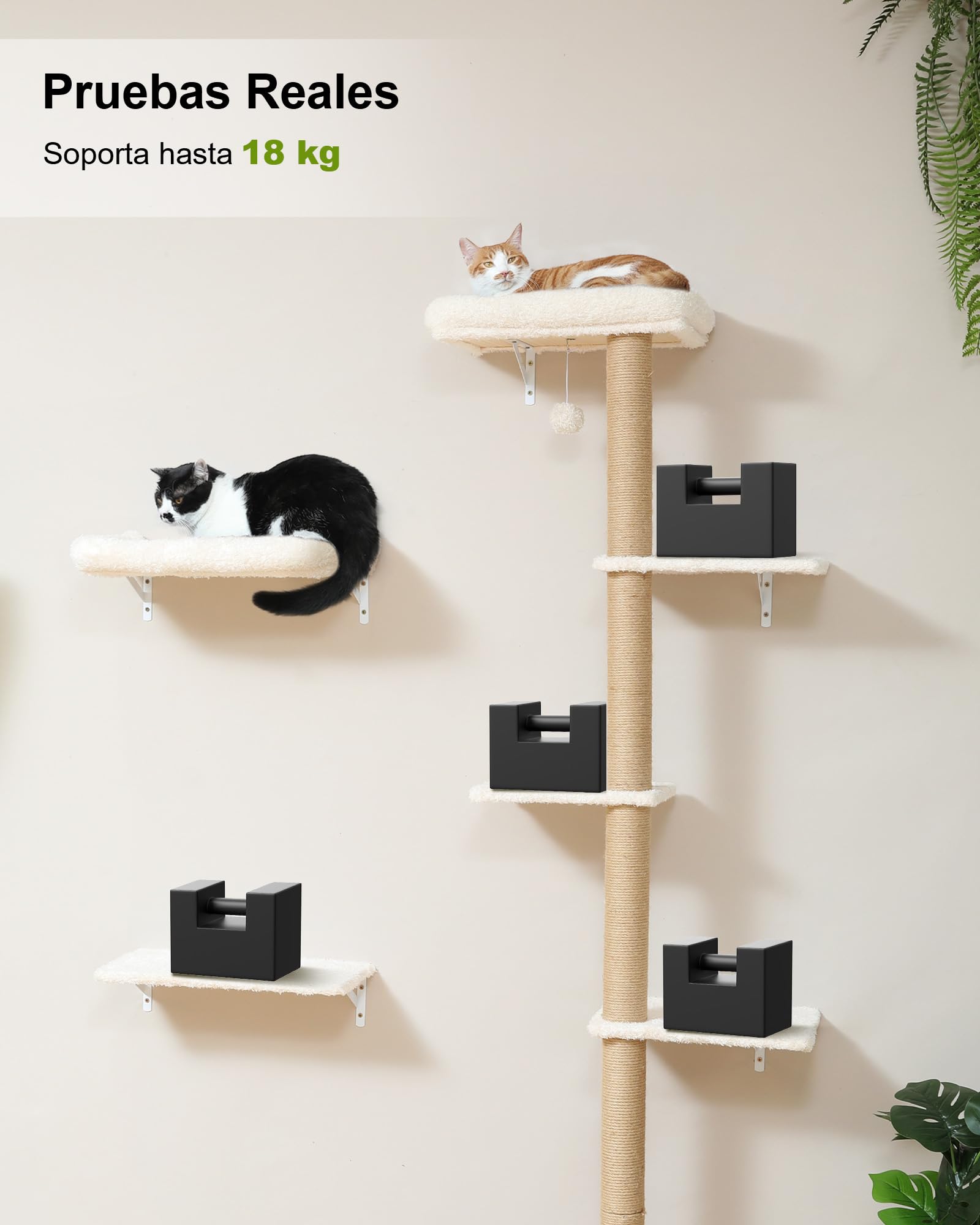 FUKUMARU Rocódromo para Gatos, 178 cm de Altura, Robusto Conjunto 3 en 1 de Madera Maciza Multicapa, con rascador y 2 estantes de Pared, Pared para trepar Que Ahorra Espacio, Beige