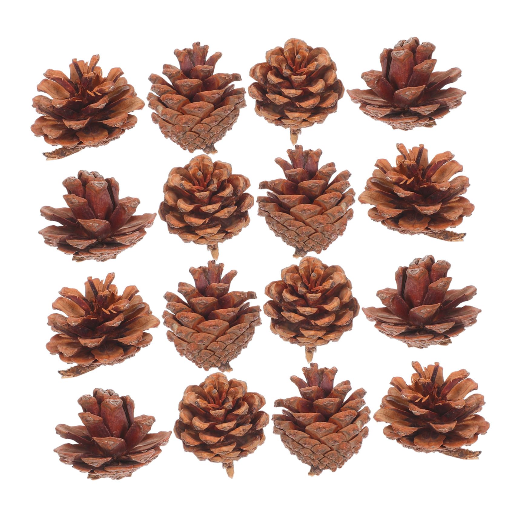 Mini Natural Pine Cones pour réussir facilement vos couronnes de Noël maison