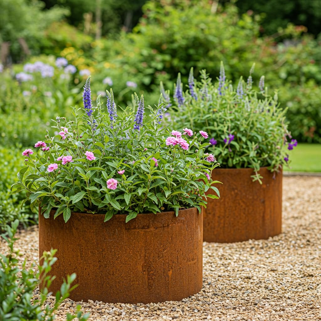 Czaja Pflanzring Cortenstahl 80 x 40 cm | Runde Beeteinfassung & Beetumrandung für den Garten – Wetterfest