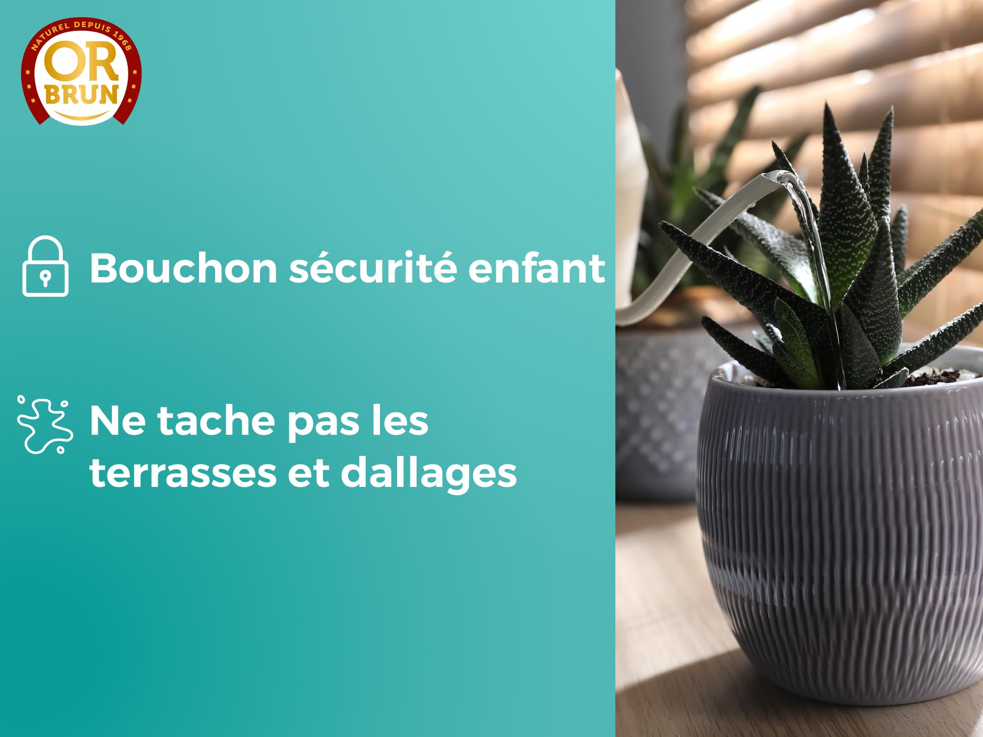 OR BRUN Engrais Cactus & Plantes Grasses - 250ml - Enrichit Les Plantes - Fabriqué En France - Utilisable En Agriculture Biologique OBRECLCACTUS250