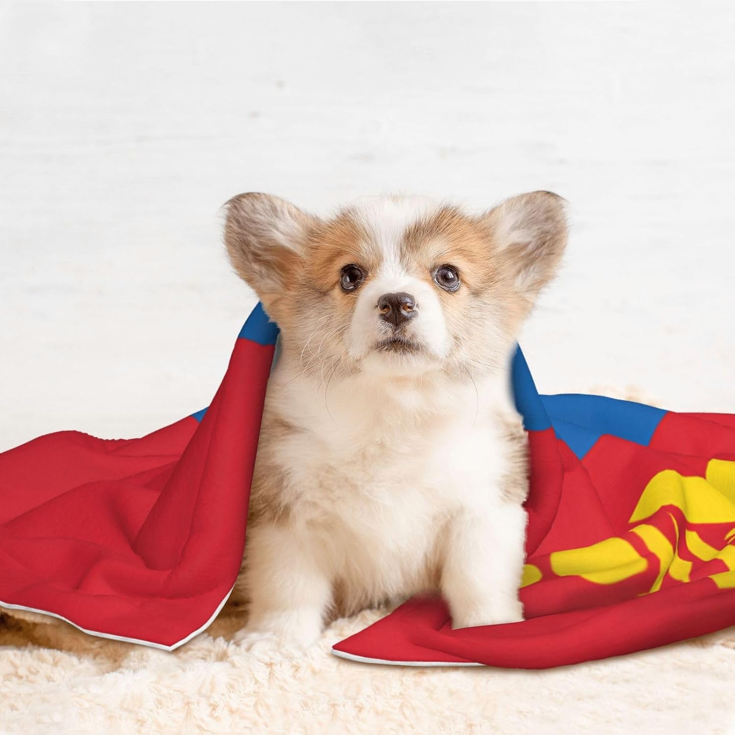 Mongolian Flag Pet Blanket for Dogs & Cats â€“ Soft Plush Dog Blankets for Small & Large Dogs, Couches, Beds, and Cars