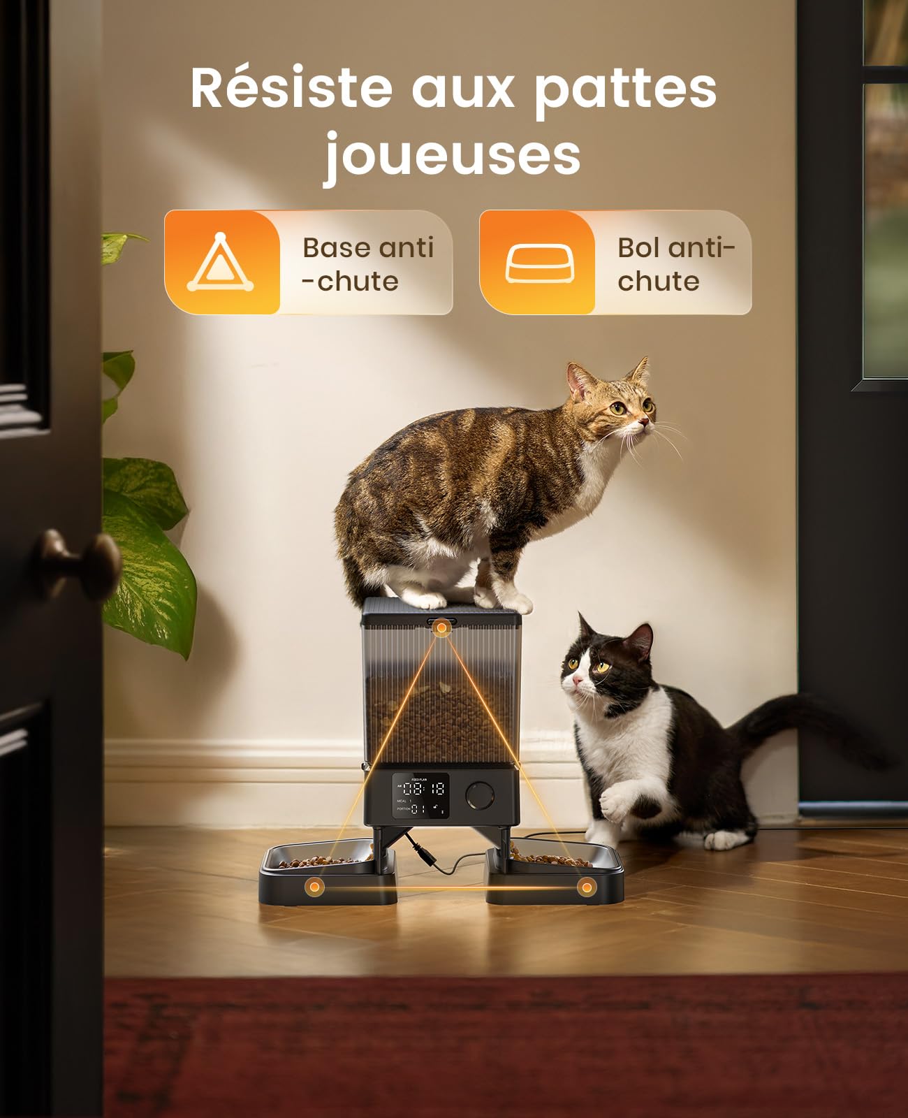oneisall 5L Distributeur Croquettes Chat Automatique 2 Bols Mangeoire Automatique pour Chat à Un Bouton Fonctionnement Facile Mangeoire