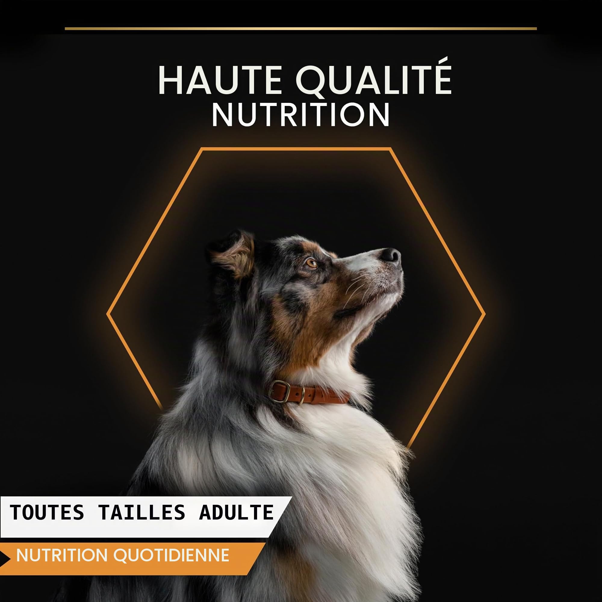 Purina Pro Plan - pâtée en Gelée pour Chien Adulte Riche en Dinde - x 12