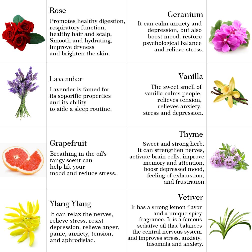 100% reines Rose ätherisches Öl Set für Diffusor, Aromatherapie Lavendel ätherisches Öl Kit für Hause, 8x10ml 100% reines Vanille, Vetiver, Ylang Ylang, Grapefruit, Geranium, Thymian Öle für Massage