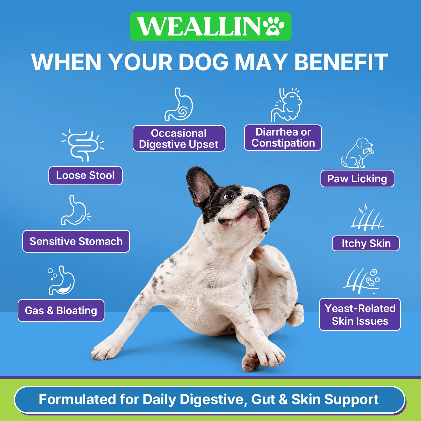 Probiotics for Dogs, Dog Probiotics for Yeast, Itchy Skin and Itchy Ears — Amazon image 3