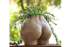 FROZZUR Body Vase Female Form: Modern Flower Pot for Indoor Decor