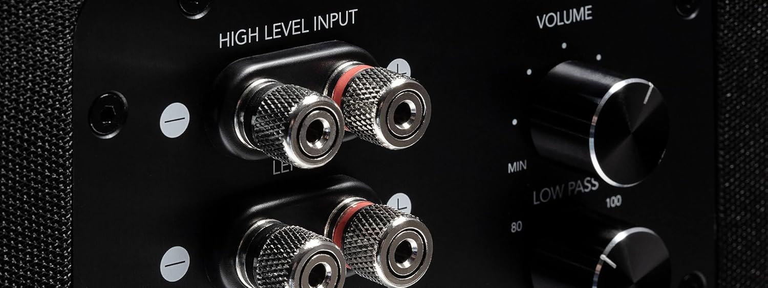 Definitive Technology 2 Descend DN10 10" Subwoofers Digitally Optimized for Movies and Music | 2 Speakers, White | 500W Peak Class D Amplifier | (2) Pressure-Coupled 10" Bass Radiators