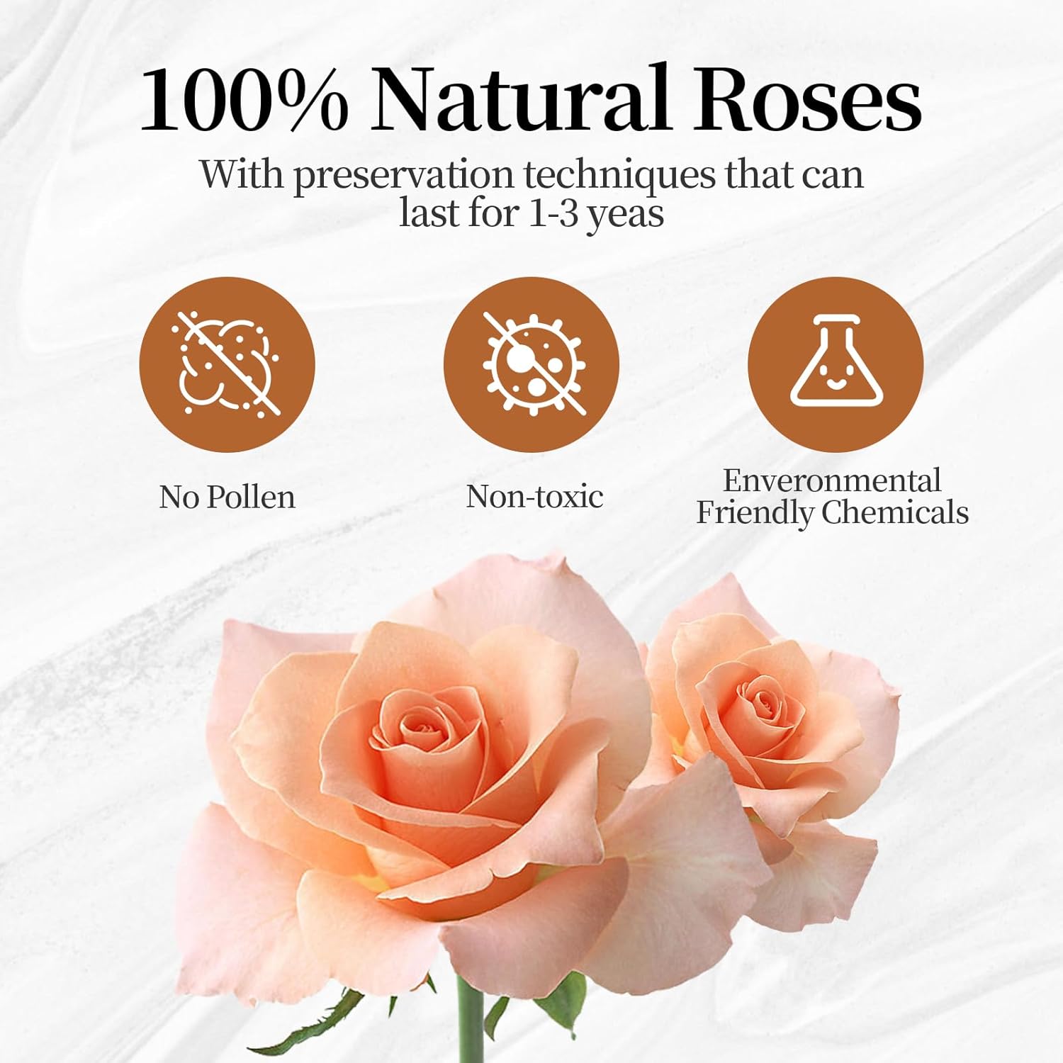 Flower, Forever Roses in A Box, Fresh Flowers, Birthday Gifts for Her, Women, Mom, Girlfriend, Wife, Grandma,Champagne Forever Roses - Image 2