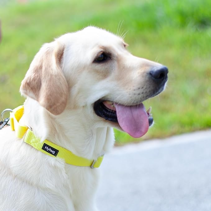Collar Martingale Hyhug para Perro Grande Amarillo Nylon miniatura 3