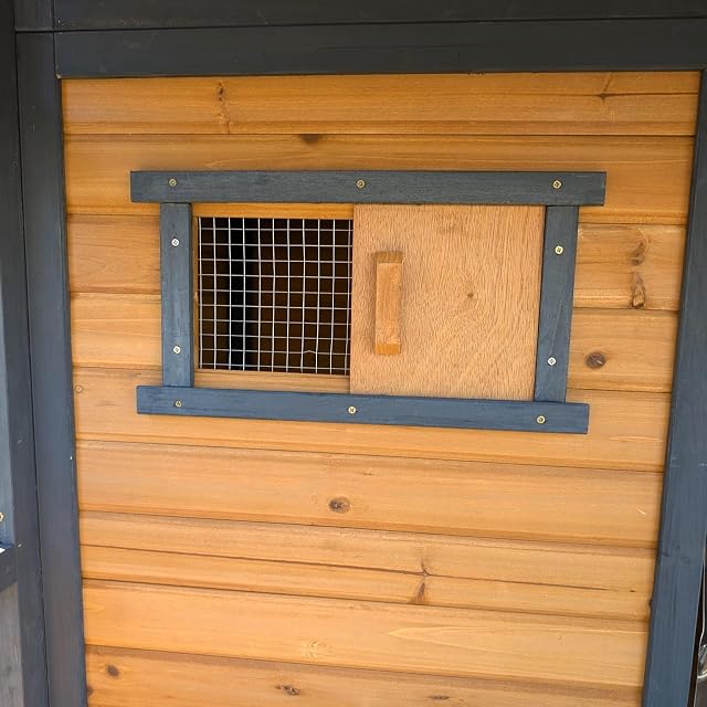 Foto 6 de 8 de Chalet Saint-Bernard - Casita para perros, talla XXL