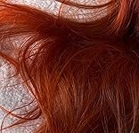 Review Image by Mariia Plo Mariia Plo