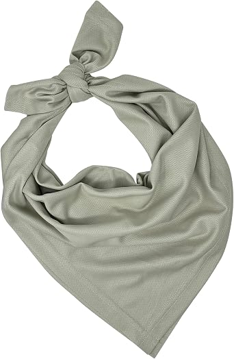 CoolNES - Cooling Bandana Adjustable Cools Instantly When Wet UPF 50