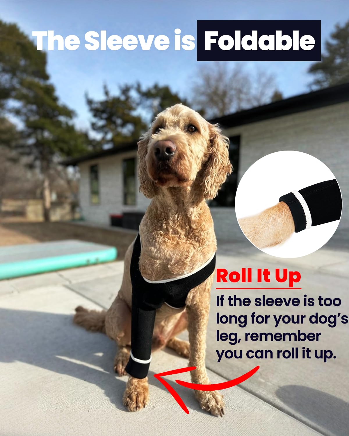 Lufelux Dog Leg Sleeve Medical Dog Cone Alternative Shoulder