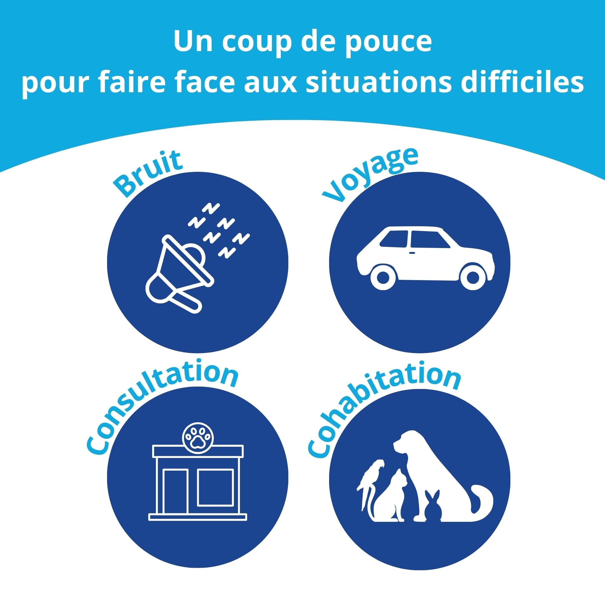 Cazomag 75 - Aliment complémentaire apaisant Chien & Chat - Ingrédients Naturels pour Favoriser Le Calme - Soutien en périodes Difficiles: Voyage, Bruit, Solitude - 30 gélules appétentes - Anidev