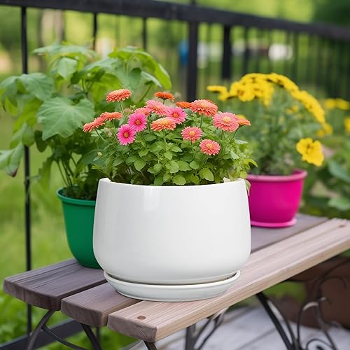 Miniatura 2 de G EPGardening Maceta de cerámica de 9 pulgadas, macetas con drenaje y platillo de cerámica, macetas para plantas de interior, maceta moderna para