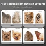 Ver la foto 4