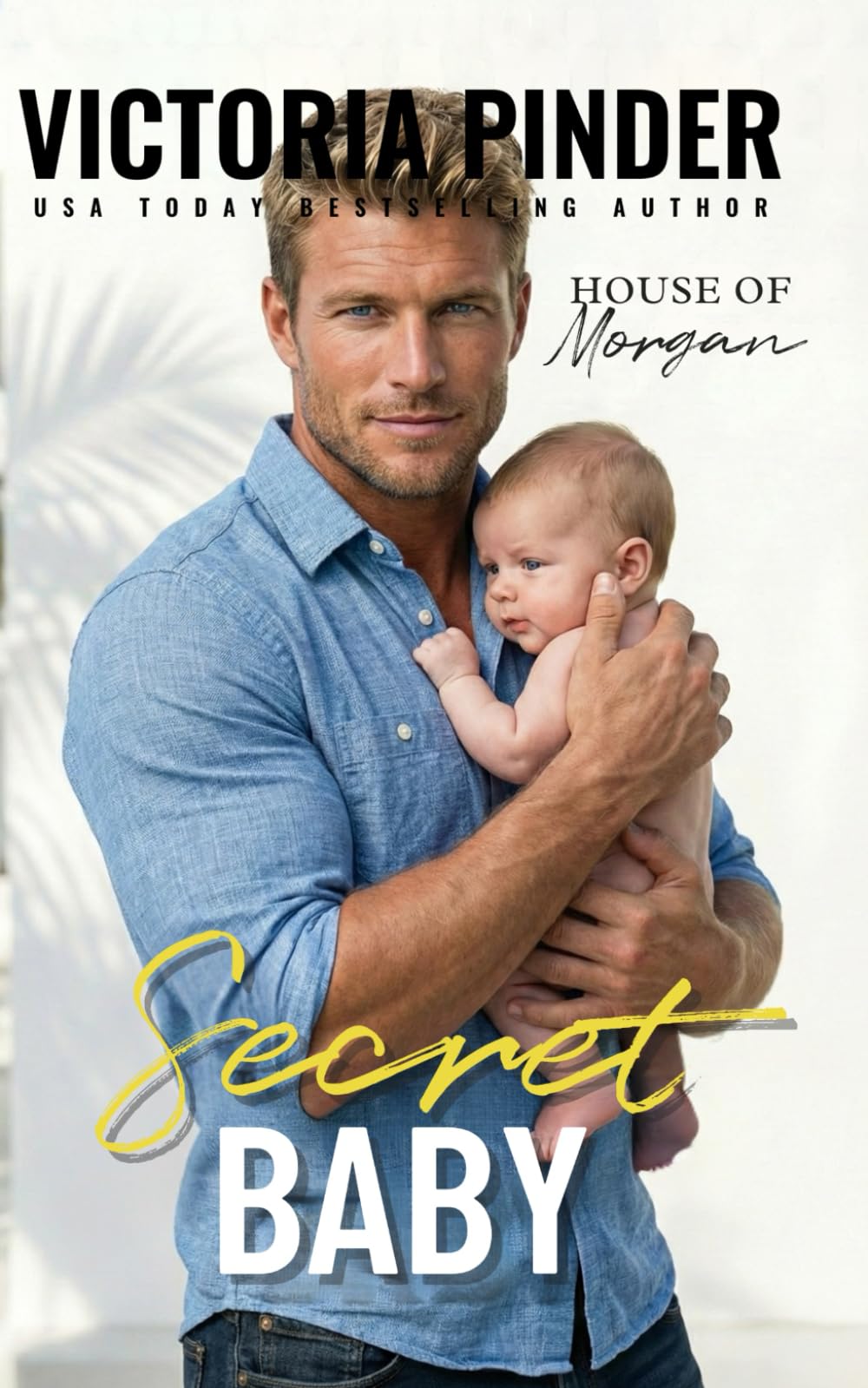 Secret Baby: 2 (The House of Morgan)
