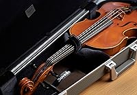 Vista 5 de Boveda Instrumentos musicales de madera, control de humedad de 2 vías RH, 49% RH, tamaño 67 para instrumentos de madera, protege todos