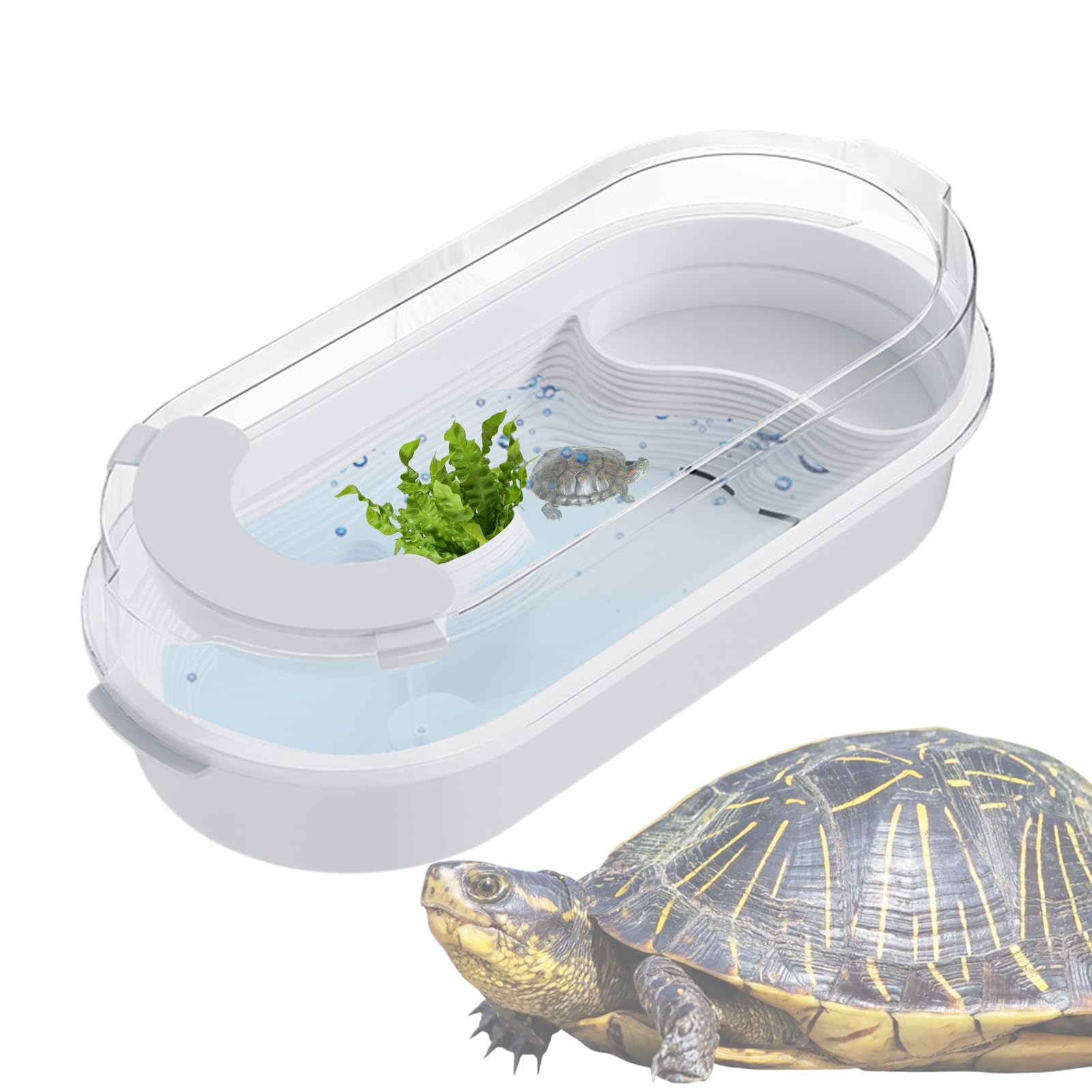 Acuario De Tanque De Tortugas, 35x20x15cm Hábitat De Reptiles Tanque De Tortugas con Plataforma De Sol para Reptiles, Tortuga Tanques Acuario Tortuga Hábitat con Hábitats Mascotas Accesorio