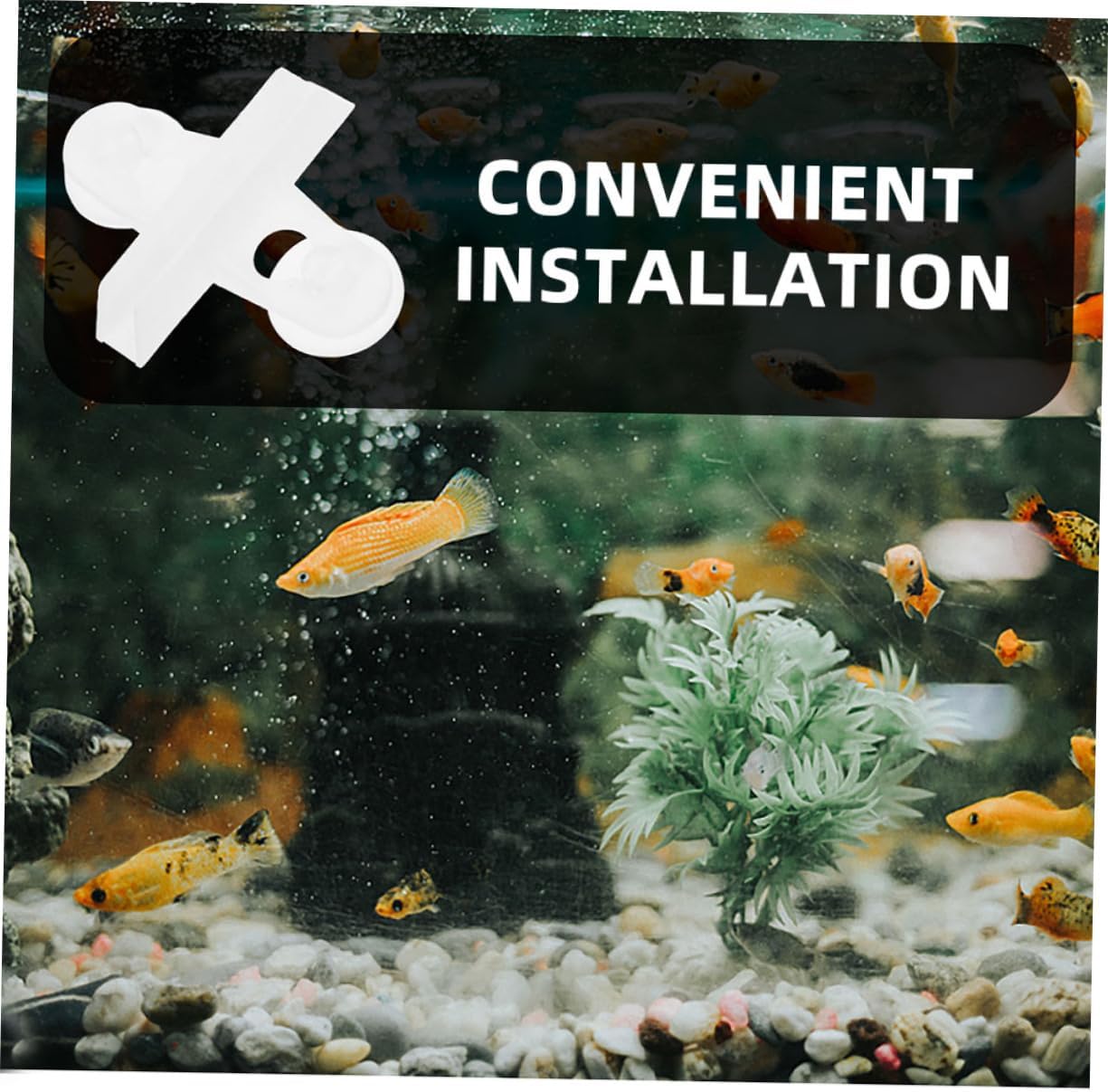Kisangel 20pcs Aquarium Divider Clips Multipurpose Suction Cup Support for Fish Tank Insulation Aquatic Plant Holder Easy Installation Accessories for Various Tank