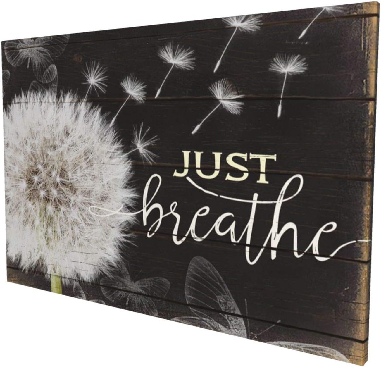 Just Breathe Wall Art Rustic Dandelion Canvas Black And White Flower Floral Painting Botanical Picture Giclee Matte Prints Home Decor For Kitchen Bedroom Living Room Bathroom 16x24 Inch