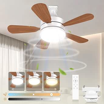 小型・軽量・省電力】SUKITEN シーリングファンライト 38W シーリング