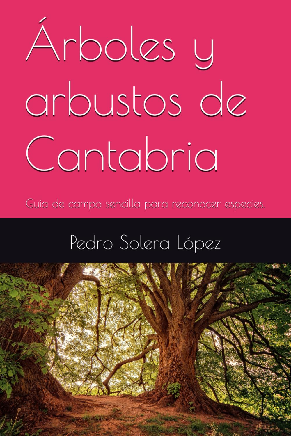 Árboles y arbustos de Cantabria: Guía de campo sencilla para reconocer especies.