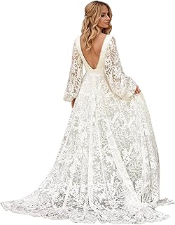 Women's V Neck Lace Wedding Dresses for Bride 2025 Lace Appliques A Line...