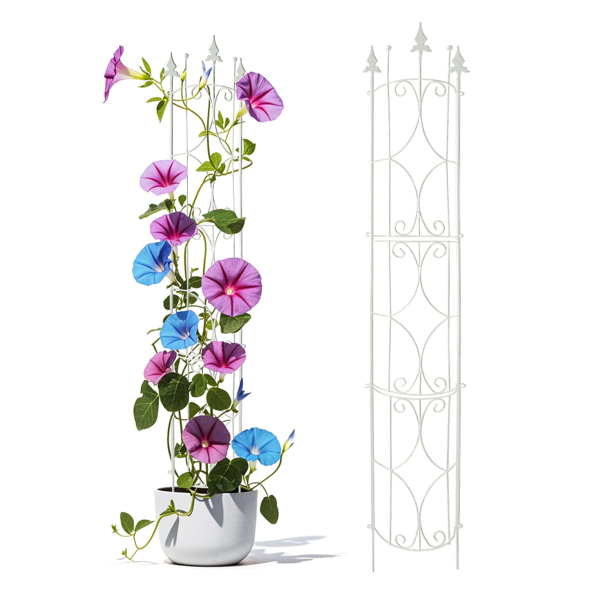 Treillis de Jardin 1,8 M en Métal pour Plantes Grimpantes, Noir/Blanc 182 cm H x 31 cm l, Intérieur/Extérieur, Lot de 2 (Blanc)