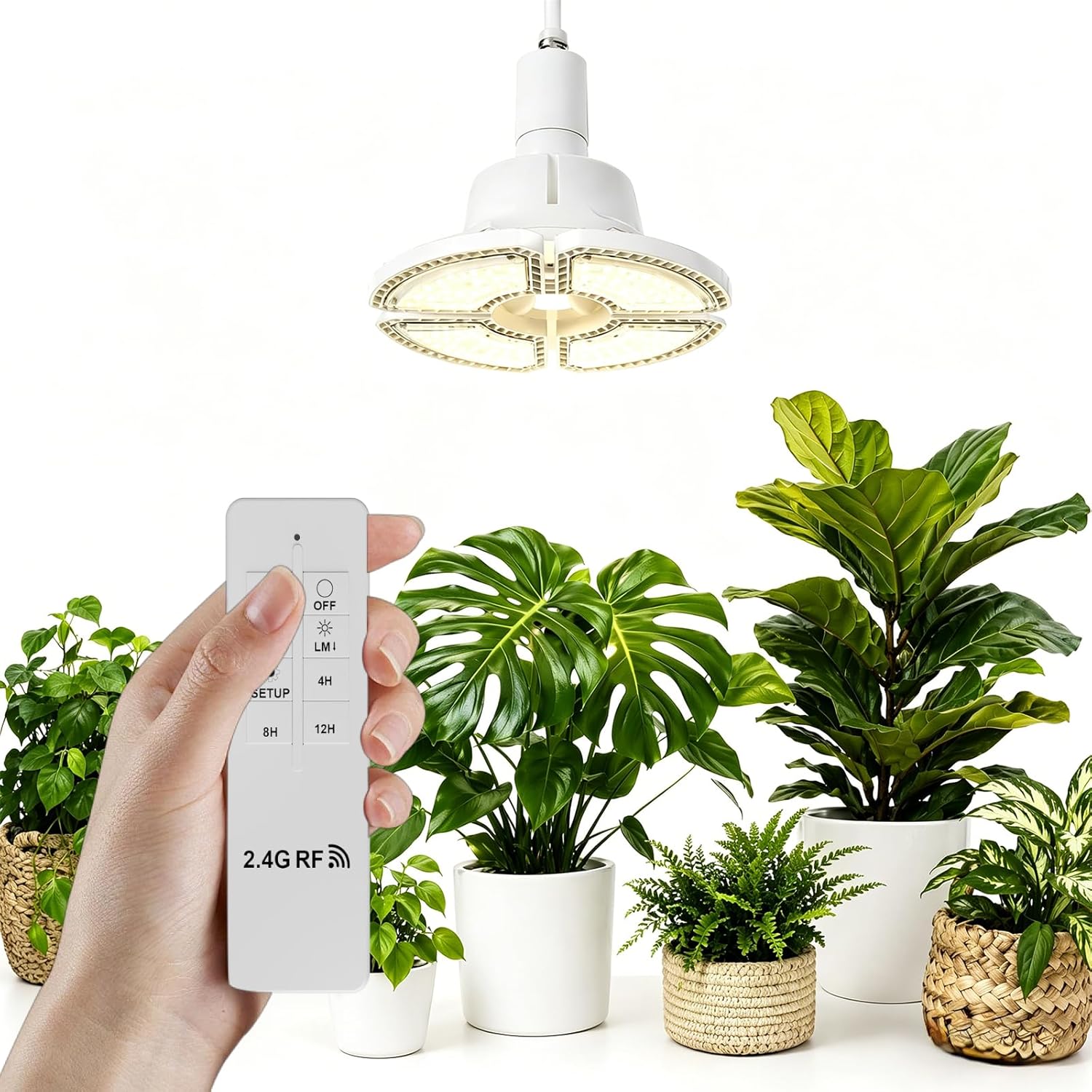 RDJ Bouns Dimmable Grow Light Bulb with Remote Control, 80W Large Full Spectrum Plant Bulb with 4/8/12H Timer, E26 Base LED Grow Lamp for Large Indoor Plants, Monstera, Fiddle Leaf Fig