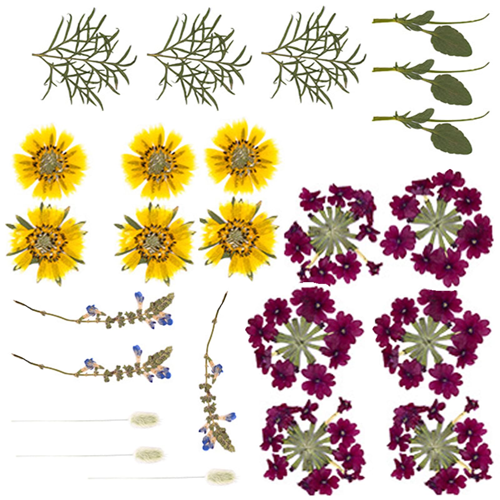 Jazuaiao 18Pieces Dried Flower Art Supplies for Cards Creative and Permanent Plant Displays Dry Flower