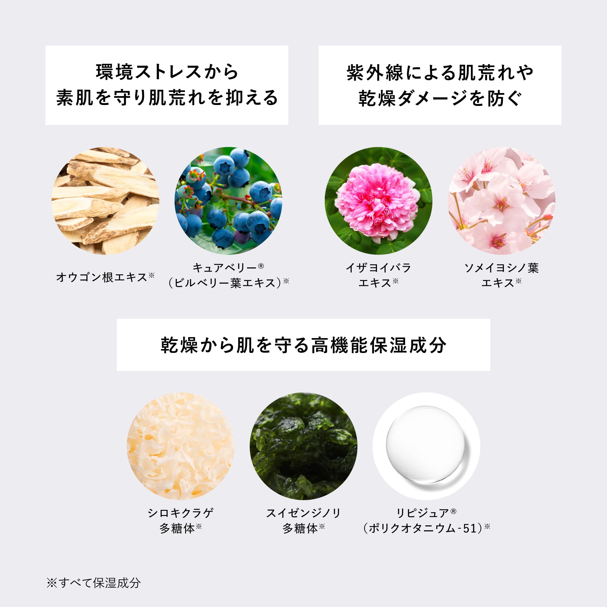 Amazon.co.jp: 【Official】&be (And Be) UV Milk / SPF50+ PA++++
