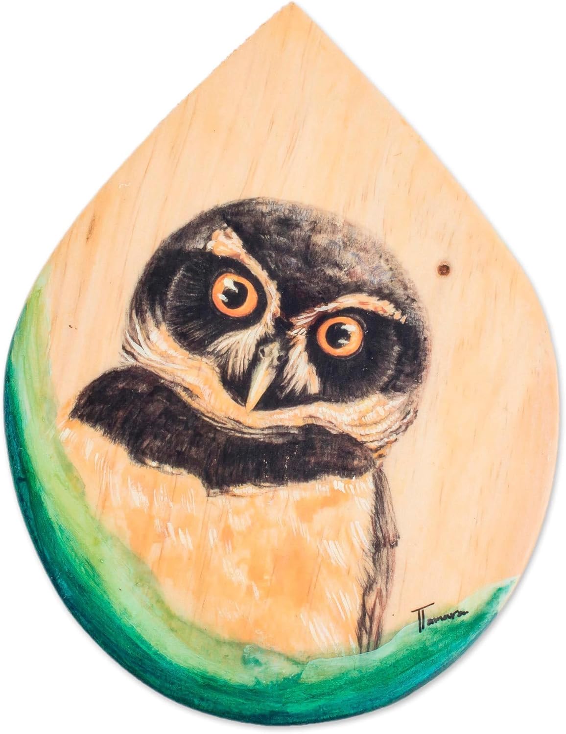 NOVICA Artisan Handmade Wood Plaque Handpainted Owlthemed Wall Art Brown Costa Rica Decor Plaques Birdowl [7.25in H x 5.25in W x 0.8in D] ' Owl Gaze'