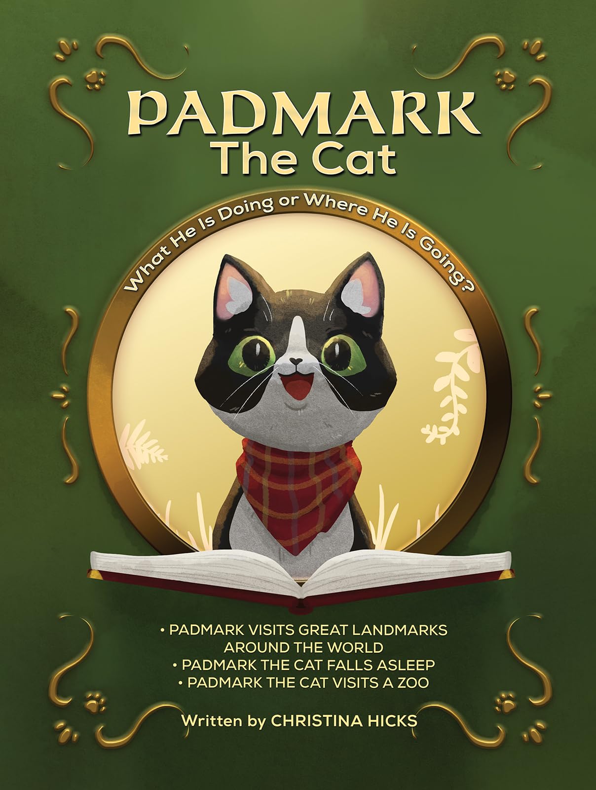Padmark the Cat by Christina Hicks (Hardback Book)